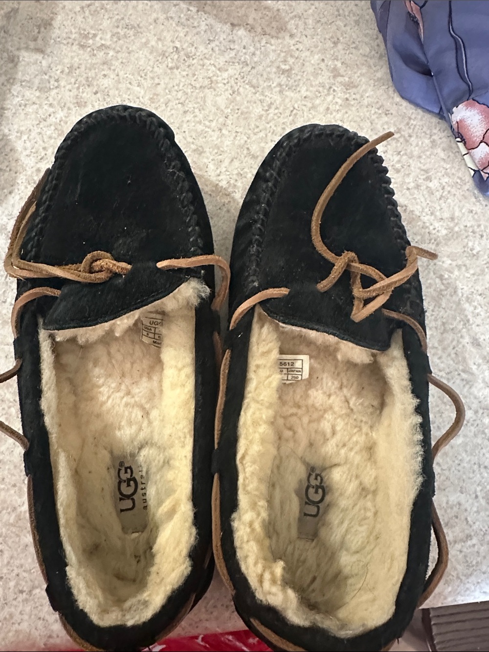 UGG  Black Suede Moccasin Slippers with Chestnut Laces